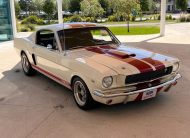 1965 Ford Mustang GT 350 Tribute