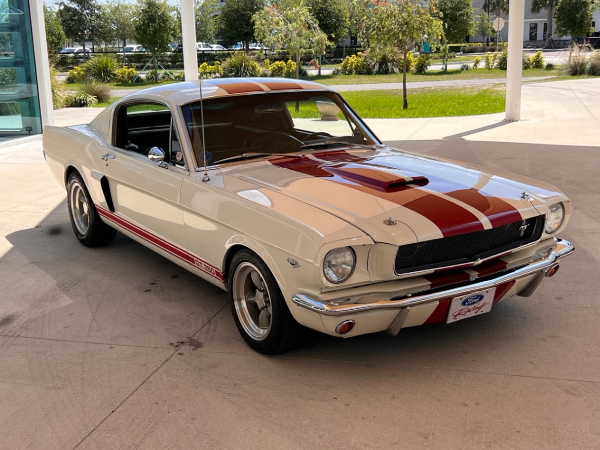 1965 Ford Mustang GT 350 Tribute