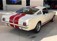 1965 Ford Mustang GT 350 Tribute