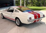 1965 Ford Mustang GT 350 Tribute