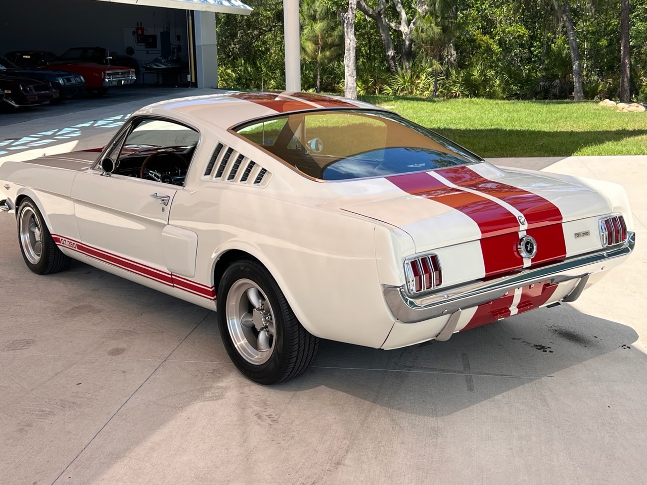 1965 Ford Mustang GT 350 Tribute