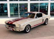 1965 Ford Mustang GT 350 Tribute